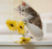 Kočička s vázou.png